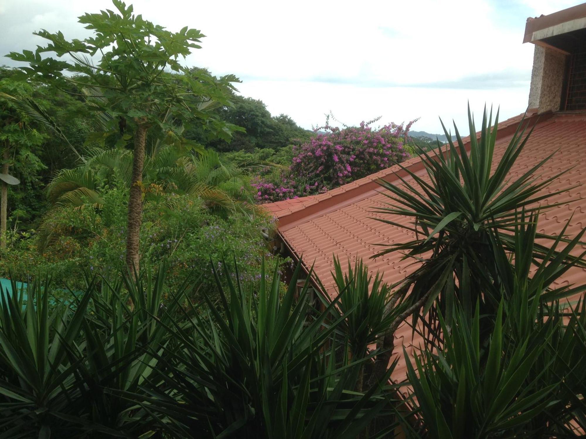 Villa Mango B&B Nosara Luaran gambar
