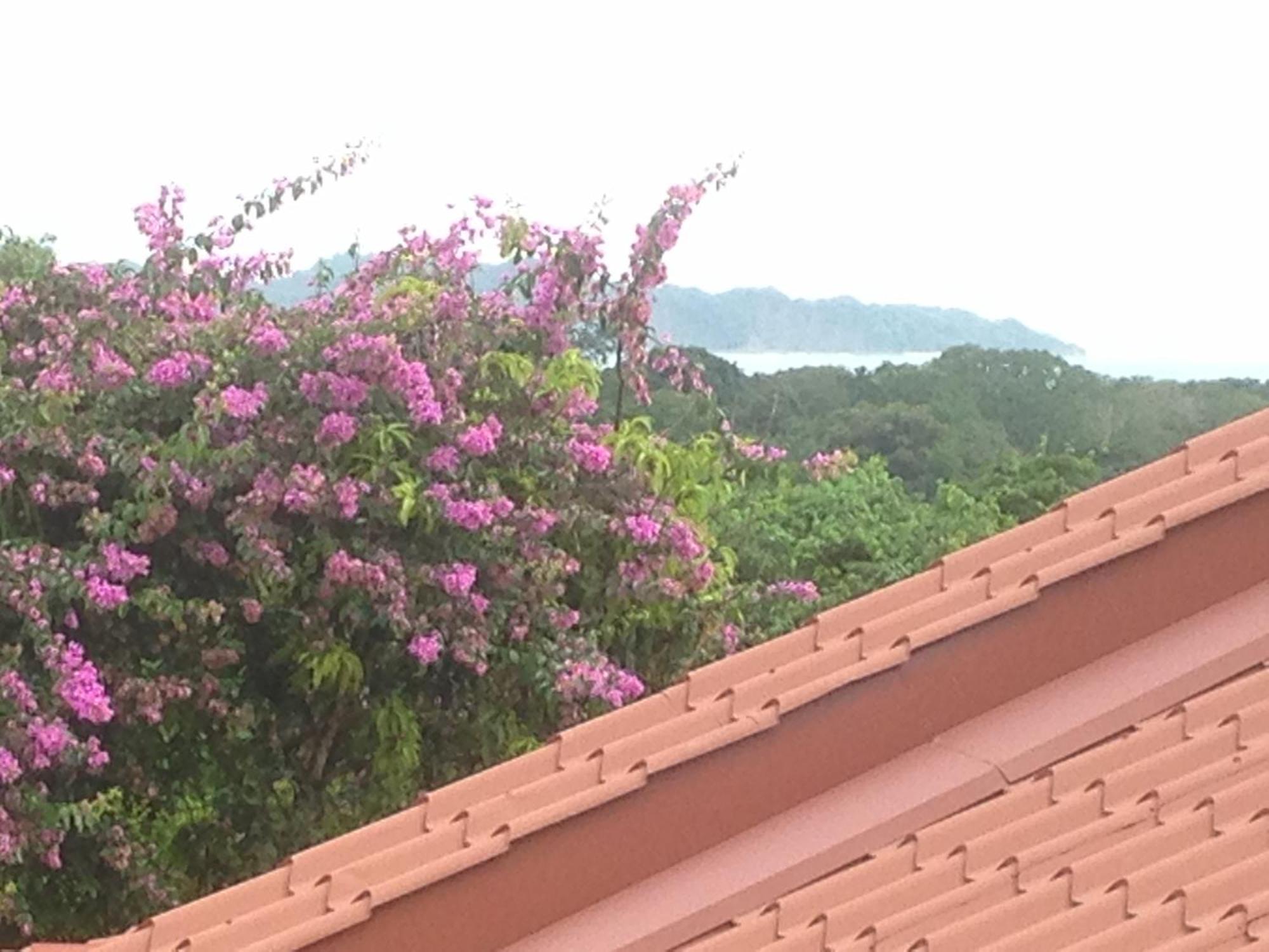 Villa Mango B&B Nosara Luaran gambar