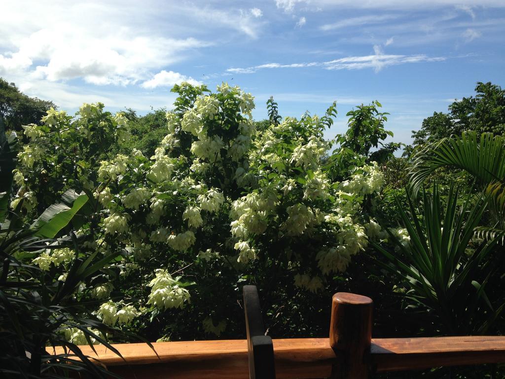 Villa Mango B&B Nosara Luaran gambar
