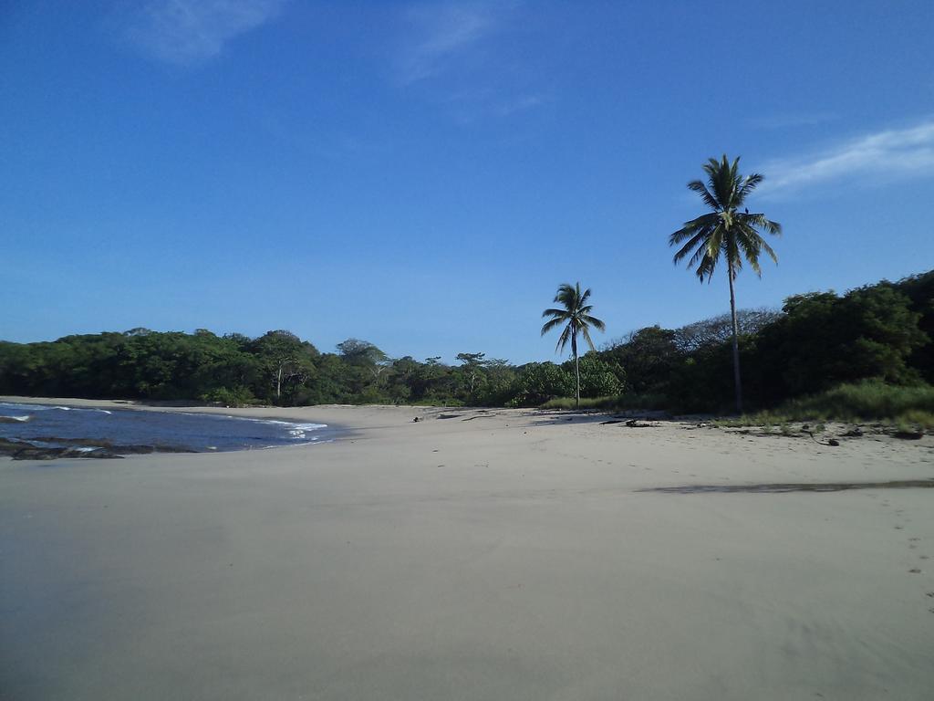 Villa Mango B&B Nosara Luaran gambar