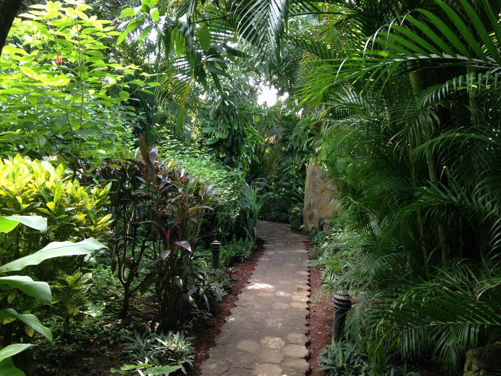 Villa Mango B&B Nosara Luaran gambar