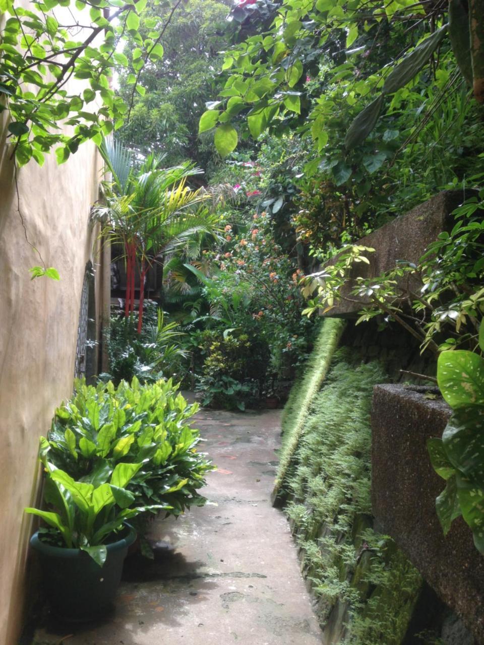 Villa Mango B&B Nosara Luaran gambar